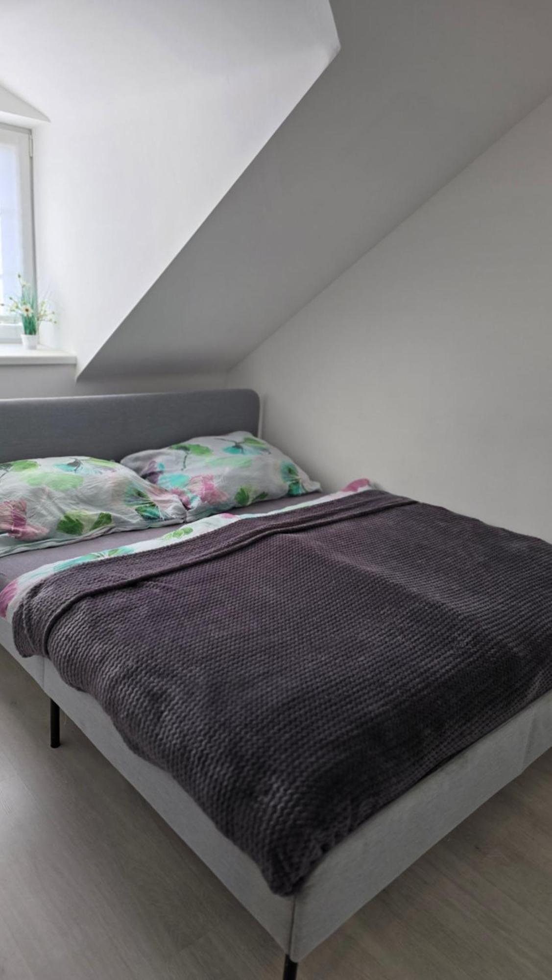 Apartman - Cafe Princ Pod Hradem Wifi, Klima Šternberk Eksteriør bilde